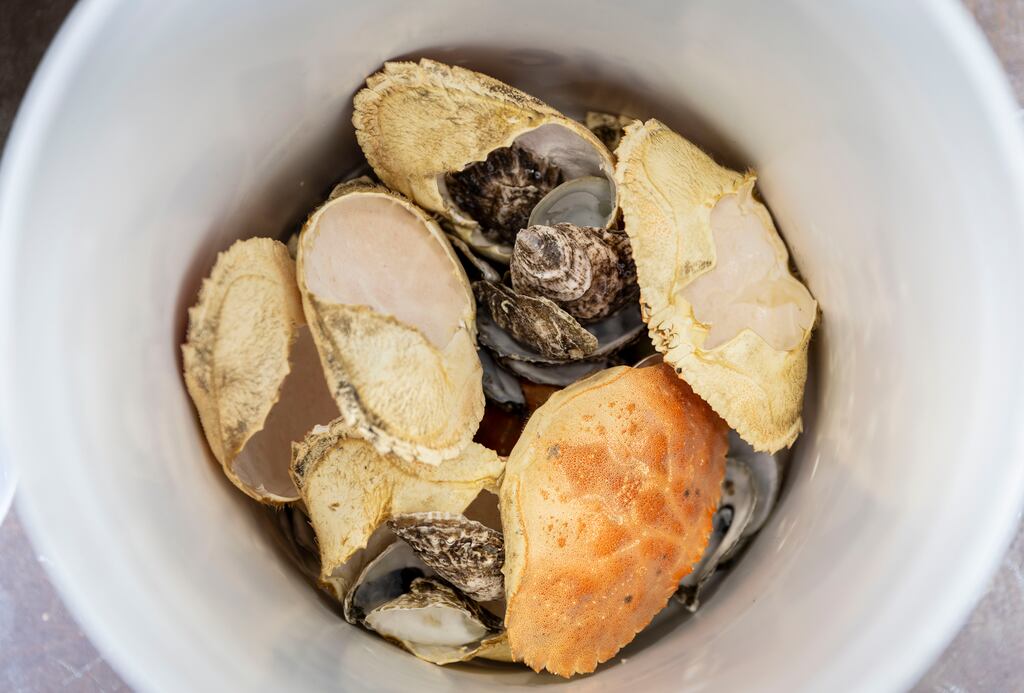 Shell waste from Frank & Laurie's, a brunch and dinner restaurant, in Providence, R.I.