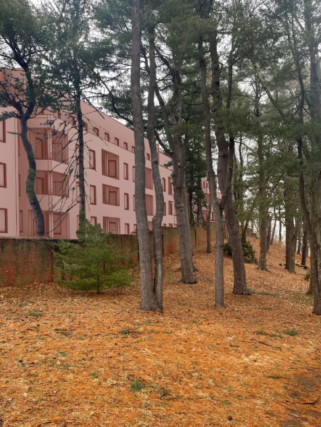 The proposed four-story condominium as currently proposed would stand within 18 feet of the Arboretum’s property line. Zoning standards require a 50-foot setback. 