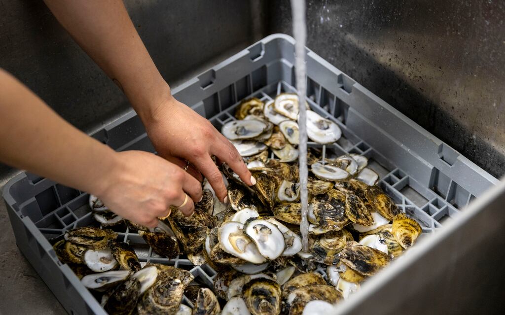 Felicia Neuhof washes discarded seafood shells that she collected from local restaurants around Providence, R.I.
